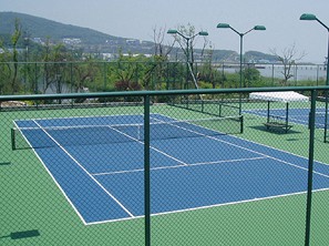 球探体育 fc736